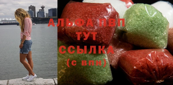 СК Алзамай