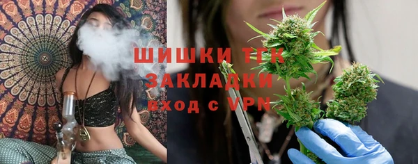 СК Алзамай